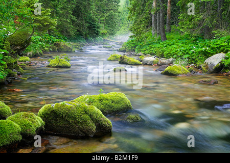 En cours d'Koscieliska Valley Tatras Pologne Banque D'Images