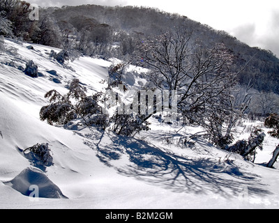 Dainer s Gap montagnes enneigées du New South Wales Australie après chute de neige fraîche Banque D'Images