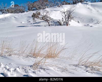 Dainer s Gap montagnes enneigées du New South Wales Australie après chute de neige fraîche Banque D'Images