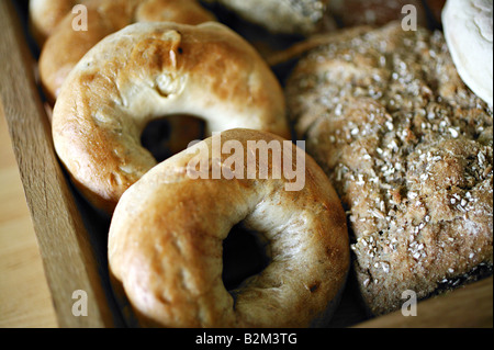 Assortiment de bagels et du pain fraîchement cuit dans un panier Banque D'Images