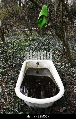 Ancienne baignoire dans une forêt Mars 2008 Banque D'Images