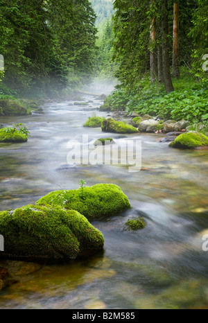 En cours d'Koscieliska Valley Tatras Pologne Banque D'Images