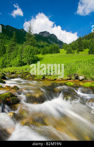 En cours d'Koscieliska Valley Tatras Pologne Banque D'Images