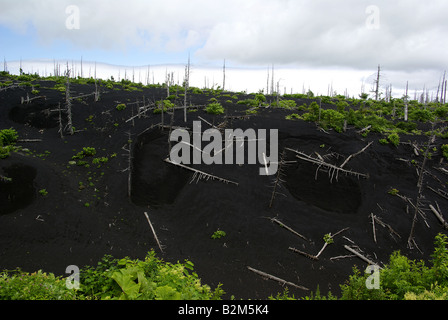 Des cendres sur la pente du volcan Tya Tya, Kunashir Île, Îles Kouriles Extrême-Orient de la Russie. Banque D'Images