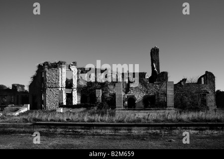 Ruines de l'hôtel particulier DORMEUR SUR CUMBERLAND ISLAND FLORIDA UNITED STATES Banque D'Images