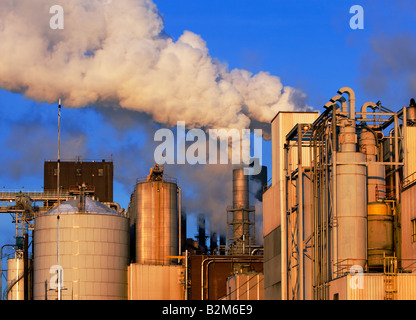 Une usine produit de la fumée et de la vapeur sur une froide journée d'hiver dans l'Iowa. Banque D'Images