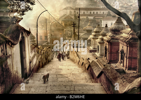 Les singes à la temple de Pashupatinath sur la rive de la rivière Bagmati sur le côté est de Katmandou Banque D'Images