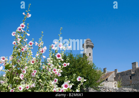 La tour château Pressigny Le Grande et roses trémières, Indre et Loire, France. Banque D'Images