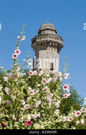 La tour château Pressigny Le Grande et roses trémières, Indre et Loire, France. Banque D'Images