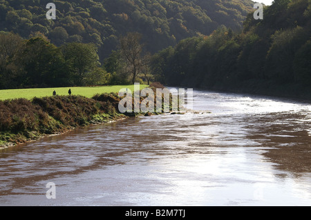 La rivière Wye à bigsweir bridge Banque D'Images