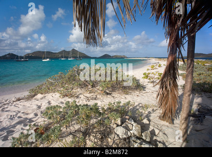 Voiliers mouillant au large de l'île de Sable près de Carriacou Grenade Antilles Banque D'Images