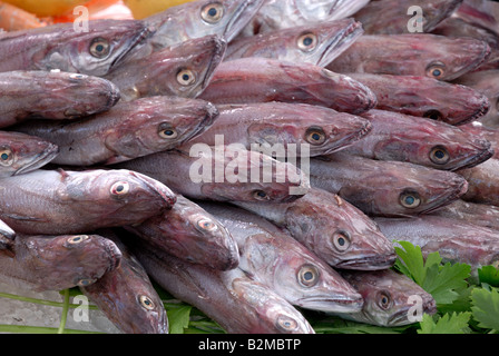 Poisson frais au marché en Aix-en-Provence, France Banque D'Images