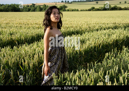 Jeune chinoise dans un champ de maïs Banque D'Images