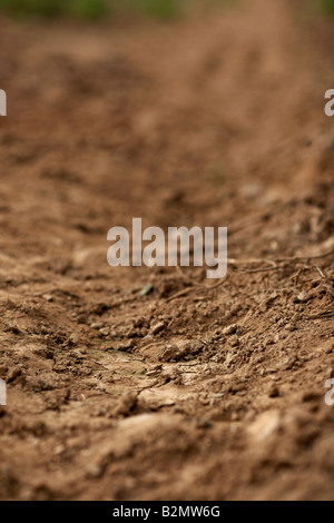 12.2005 sec sols arides dans un champ avec des marques de pneus du tracteur le comté de Down en Irlande du Nord Banque D'Images