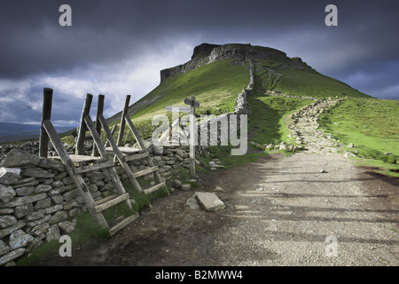 Le sentier Pennine Way et distinctif pic de Pen-Y-Ghent, Ribblesdale, Yorkshire, UK Banque D'Images