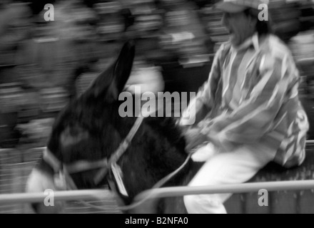 Fête de saint Joseph et de l'âne palio, Torrita di Siena, Italie Banque D'Images