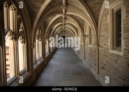 Cloître voûté au passage Hall titulaire à l'Université de Princeton. Banque D'Images