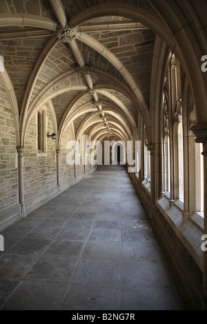 Cloître voûté au passage Hall titulaire à l'Université de Princeton. Banque D'Images