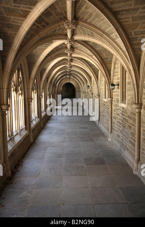 Cloître voûté au passage Hall titulaire à l'Université de Princeton. Banque D'Images