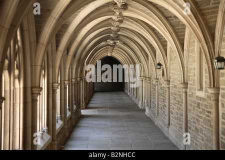 Cloître voûté au passage Hall titulaire à l'Université de Princeton. Banque D'Images