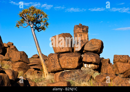 Aire de jeu géant près de keetmanschoop, Namibie Banque D'Images