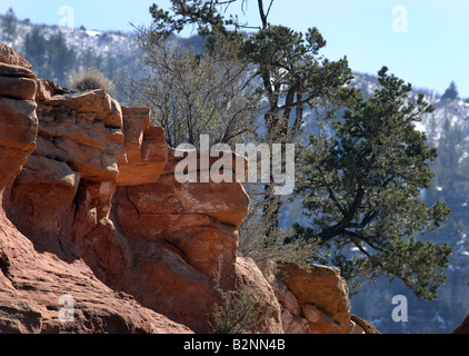 Les roches rouges de Sedona Arizona surround Banque D'Images