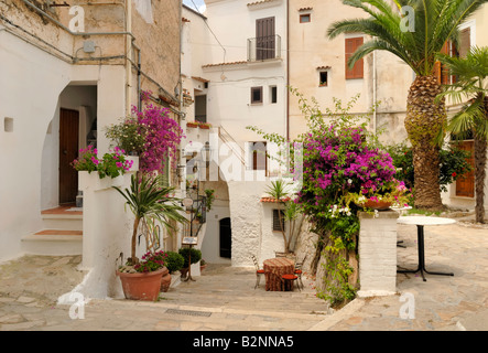 Une belle rue de la vieille ville vue, Sperlonga, lazio, Italie, Europe. Banque D'Images