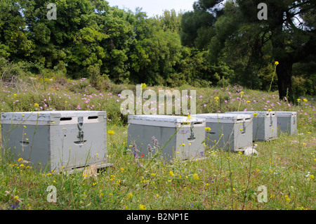 Thassos Ruches Banque D'Images