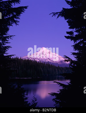 Mount Hood reflète dans petit lac de montagne lac perdu coucher de soleil avec des couleurs rosées au crépuscule Oregon State USA Banque D'Images