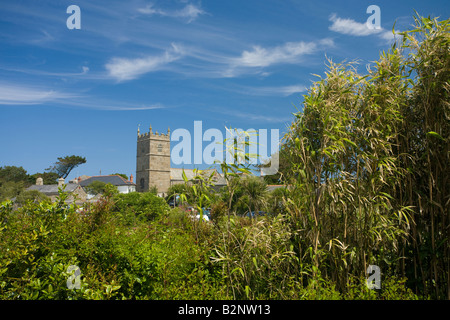 Le bambou pousse à proximité de l'église du village de Zennor près de St Ives Cornwall England Angleterre UK Royaume-Uni GB Grande-bretagne Colo. Banque D'Images