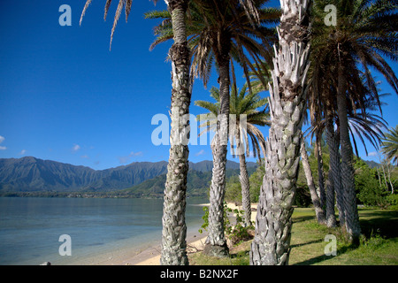 Kualoa Beach Park Windward Oahu Hawaii Banque D'Images