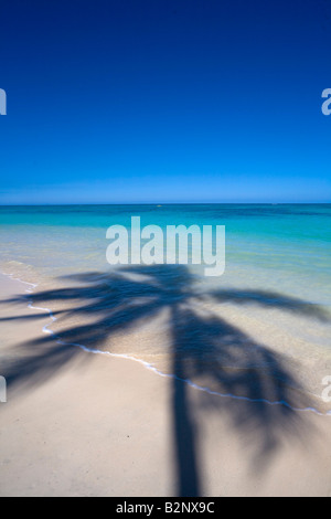 L'ombre de palmiers sur la plage Lanikai Kailua Oahu Hawaii Banque D'Images