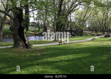 Macédoine Grèce Agios Nikolaos Naoussa Saint Nicolas Park formé par la rivière Arapitsa Banque D'Images