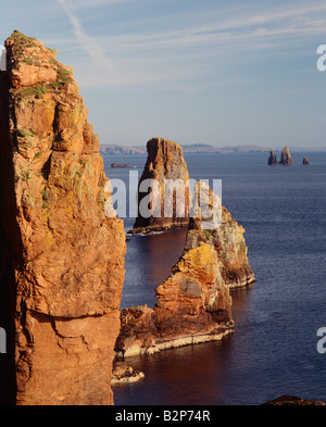 Le PANE et les piles de la mer falaises, Drongs Braewick, Esha Ness, North Mainland, îles Shetland, Écosse, Royaume-Uni Banque D'Images