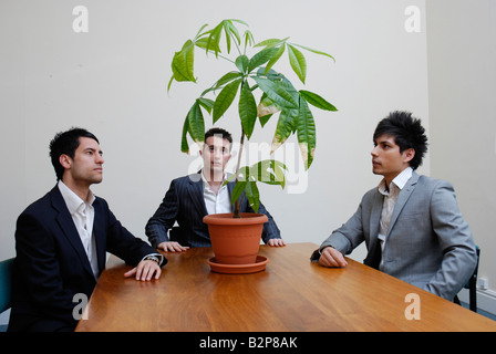 Un groupe de jeunes hommes d'affaires regardant une usine de pot de bureau contemplant des questions environnementales. Concept d'investissement ESG Banque D'Images