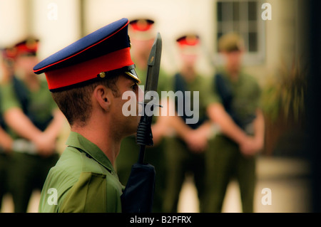 Soldats attendre en ligne sur Queen's Guard Parade Banque D'Images