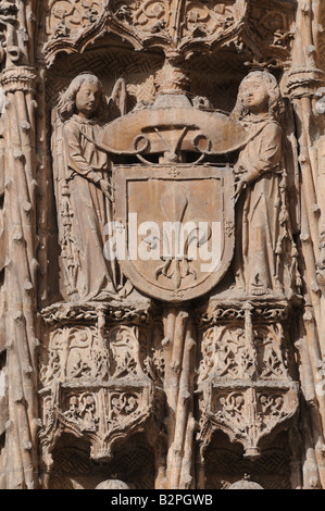 Détail montrant deux anges tenant un bouclier de la sculpture sur pierre avec une fleur du lys lis à l'entrée Colegio de San Gregorio Valladolid Banque D'Images