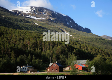 Le parc national de Jotunheimen Norvège paysage paysage de montagne Banque D'Images