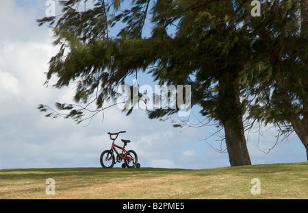 Un vélo d'enfant sous un arbre au sommet d'une colline Banque D'Images