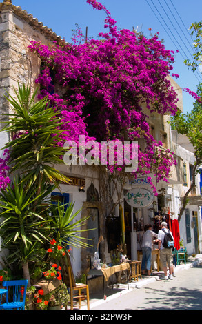 Bougainvillea croissant sur l'extérieur des maisons dans Myrtos sur l'île grecque de Crète Méditerranée UE GR Banque D'Images