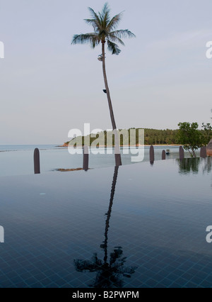 Lone cocotier reflète dans une piscine à débordement sur l'île de Koh Samui en Thailande Banque D'Images