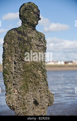 Les organismes marins sculpture Anthony Gormley s incrusting un autre endroit Crosby Beach Mersyside Liverpool Angleterre Banque D'Images