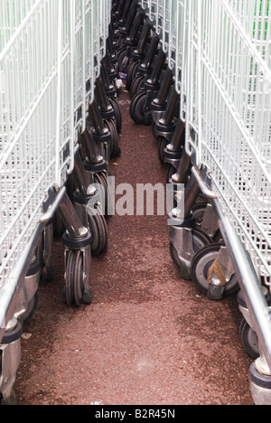 Chariots de supermarché. des chariots. Banque D'Images