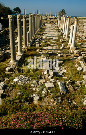 Ruines de l'ancienne ville, Tyr, Liban Banque D'Images