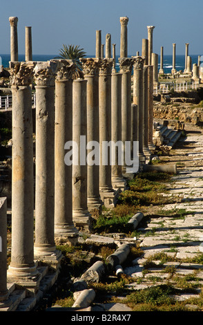 Rangée de colonnes de pierres parmi les ruines de la ville antique, Tyr, Liban, Moyen-Orient Banque D'Images