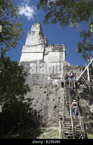 Les ruines et les temples de Tikal National Park, près de Flores au Guatemala. Banque D'Images