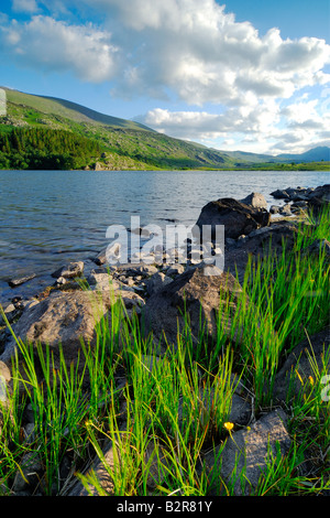 Llynnau Mymbyr près de Capel Curig dans le Nord du Pays de Galles à la fin de soirée sunshine Banque D'Images