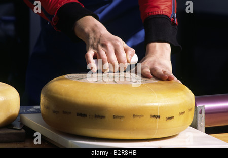 Marché aux fromages. Amsterdam, Pays-Bas. Banque D'Images