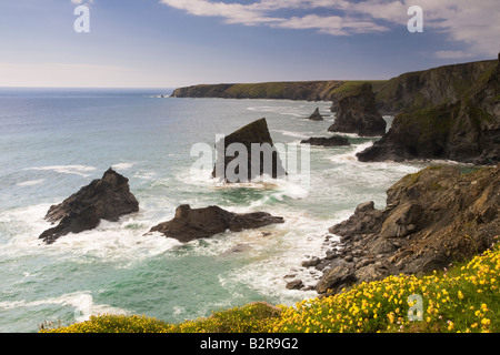 Bedruthan steps avec vue sur la mer dans l'océan Atlantique au nord des falaises de Cornwall avec ciel bleu Banque D'Images