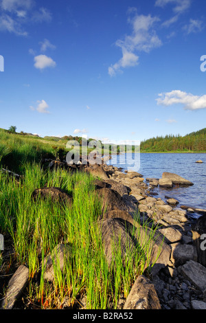 Llynnau Mymbyr près de Capel Curig dans le Nord du Pays de Galles à la fin de soirée sunshine Banque D'Images